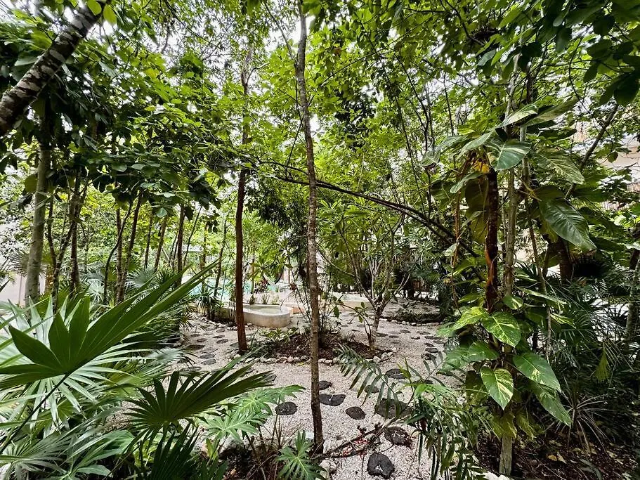2 Bedroom Apartment In The Heart Of La Veleta! Tulum Meksyk